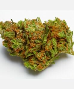 harlequin marijuana strain